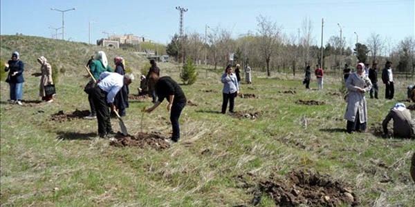 5 milyon öğrenci adına 5 milyon fidan