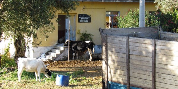 Taşımalı eğitim köy okullarını kapattı