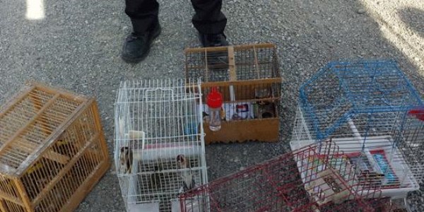 11 avcıya 53 bin lira ceza