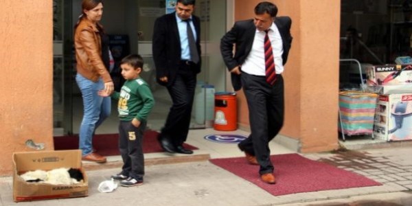 Zehirlenen köpeği kutu içinde belediye önüne bıraktılar