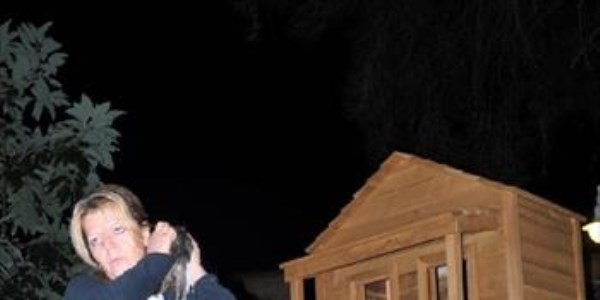 Kedi evindeki 2 kedi yavrusu, işkenceyle öldürüldü