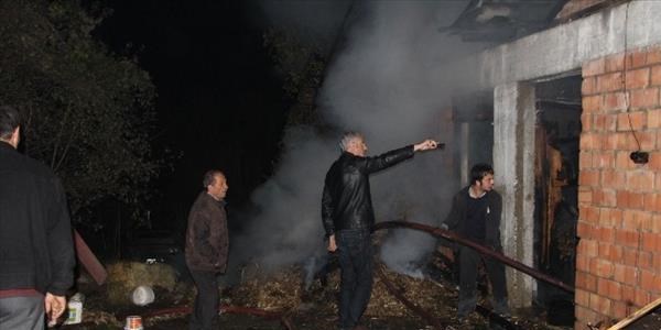 Ahır yangınında 20 hayvan telef oldu