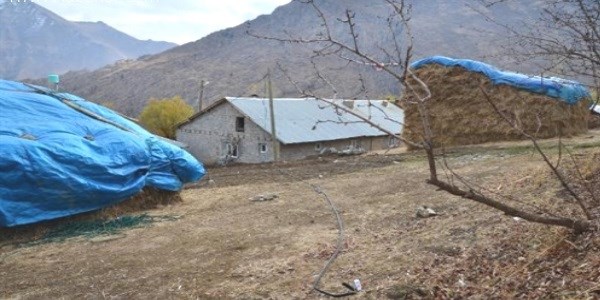 Kablo hırsızları yakalandı