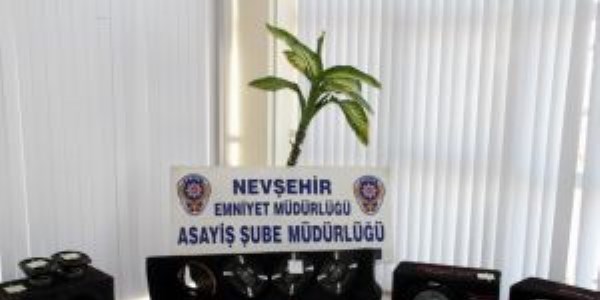 Teyp hırsızları yakalandı