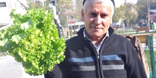 İstanbul'da cep yakan sebzeler Balıkesir'de sudan ucuz