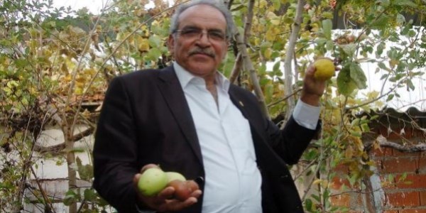 Aynı ağaçta 7 ayrı meyve yetiştirdi