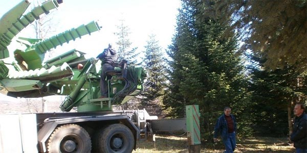 Acelle Yaylası rehabilite ediliyor