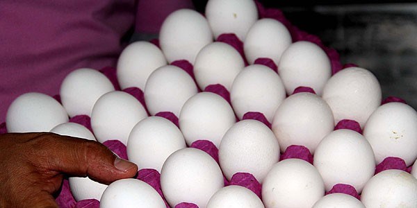 Yumurta, anne sütünden sonra en iyi protein kaynağı