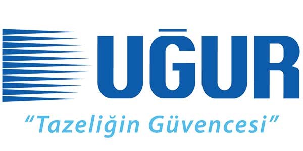 Derin dondurucudan otomobil çıktı