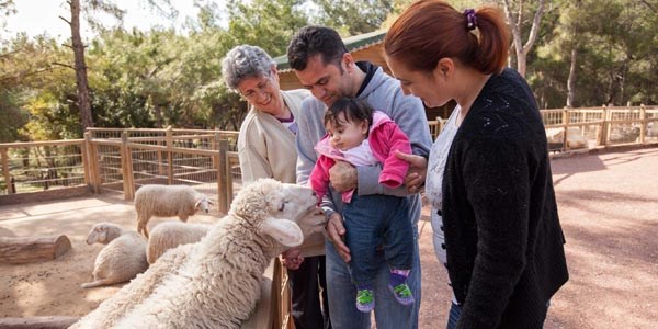 Hayvanat bahçesi pazar günü kapalı olacak
