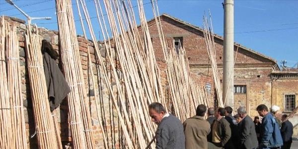 Zeytinde teknoloji sırığı yendi
