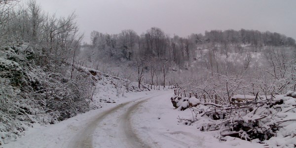 Erzurum'da kar nedeniyle kapanan ky yollar alyor