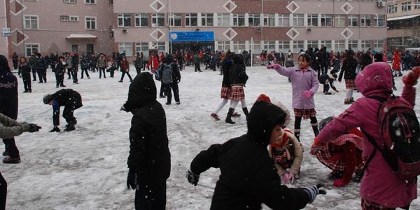 Tokat'ta 3 ilçede kar tatili