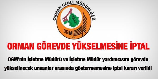 OGM'nin görevde yükselmesine iptal kararı