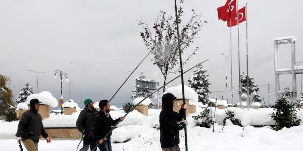 Rize'de halı sahanın çatısı çöktü, belediye 'ağaç kurtarma timi' oluşturdu