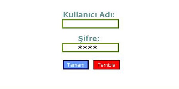 Devletin güvenliğini bu şifreler sağlıyor!
