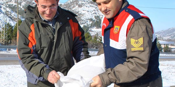 Mehmetçik şefkati