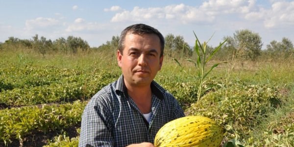 Meşhur Kırkağaç kavunu yok satıyor