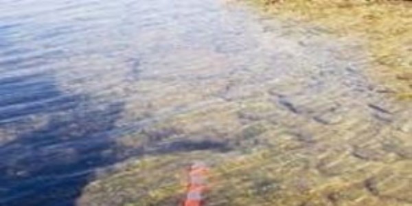 Kayıp balıkçı sonar ile bulunacak