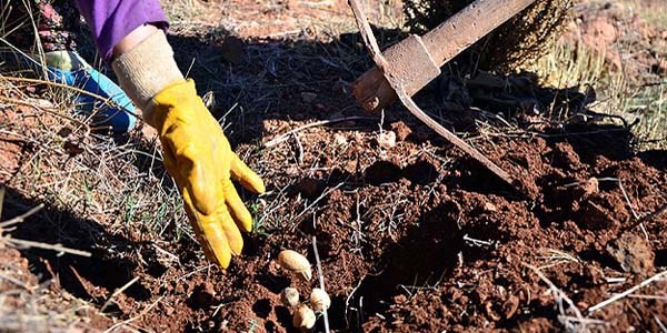 Erozyona karşı eylem planı