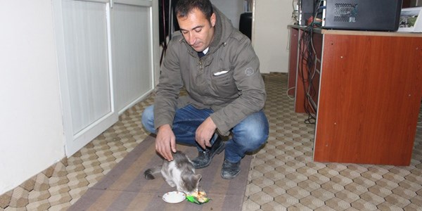 sokak hayvanlarına esnaflar sahip çıkıyor