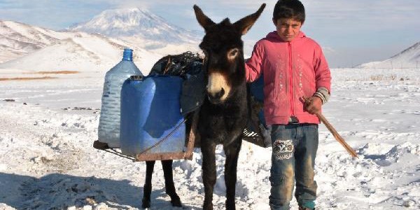 Dondurucu soğukta eşeklerle su taşıyorlar