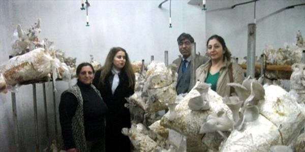 İki ayda ürün aldı