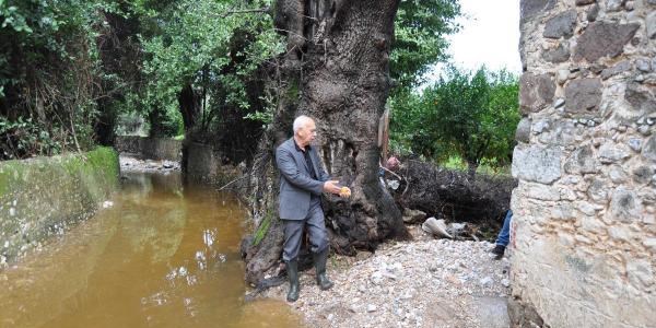 Bitez Belediye Başkanı Çömez'in imar planı tepkisi