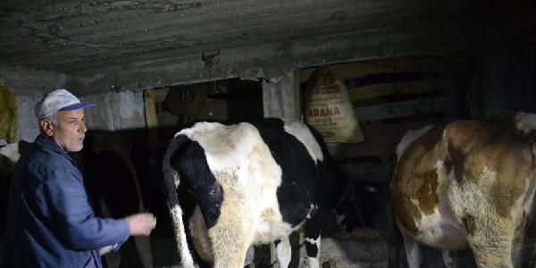 Andırın'da 4 köy karantinaya alındı