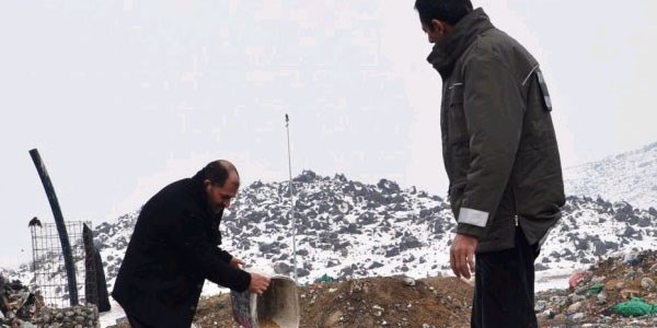 Iğdır'da yabani kuşlar için yem bırakıldı