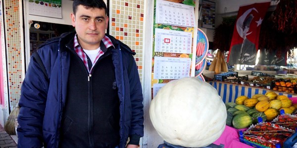 30 kiloluk balkabağı ilgi odağı oldu