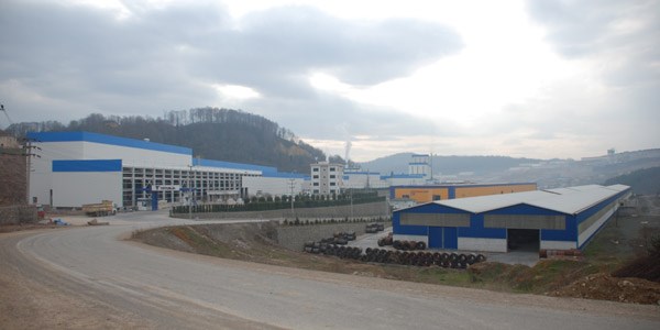 Dereye akan fabrika atıkları balıkların ölümüne neden oluyor