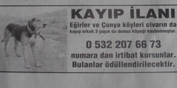 Kayıp köpeğini gazete ilanıyla arıyor