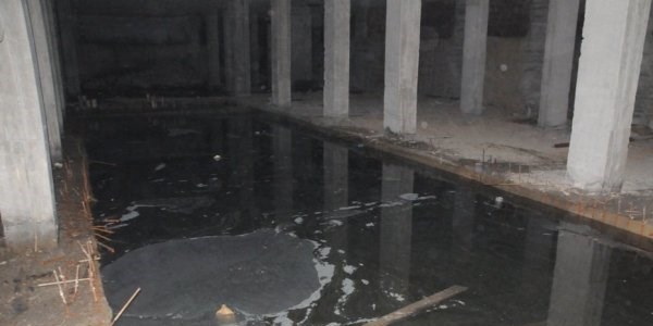 Ağabeyinin kaderini paylaştı
