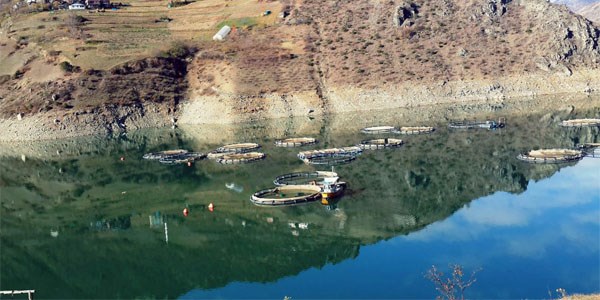 Gmhane'deki barajlarn durumu