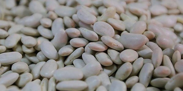 TAREKS kuru fasülye satmaya başladı