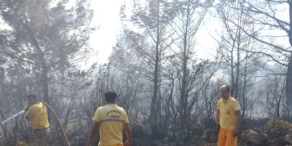 Çalılık alandaki yangın apartmanlara ulaşmadan söndürüldü