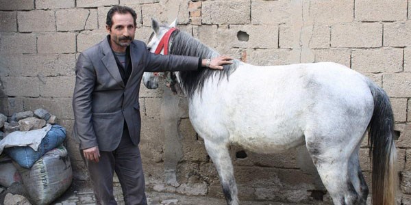 Valilikten yoksul vatandaşa at desteği