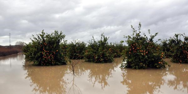 Manavgat'ta sel nedeniyle köy yolu kapandı