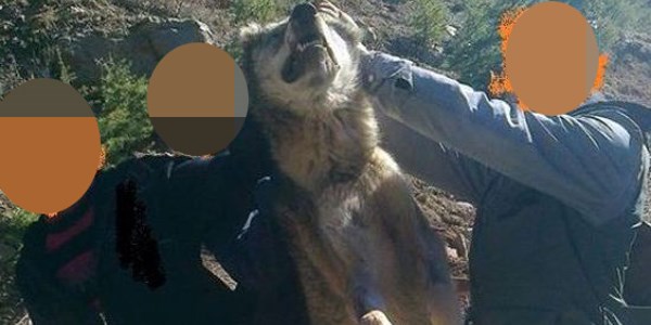 Av hatırası fotoğrafı ceza getirdi