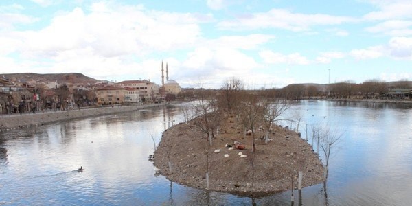 Kızılırmak'ta kazlar kuluçkaya yatmaya başladı