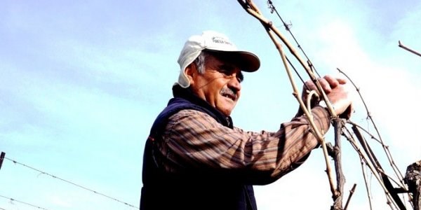Bahar havasında çalışma