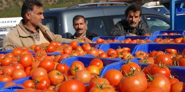 Domasteste inanılmaz fiyat farkı