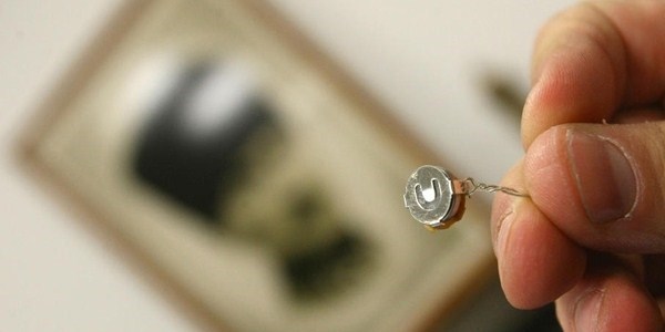 Böcek soruşturması devletin güvenirliği kapsamında yürütülüyor