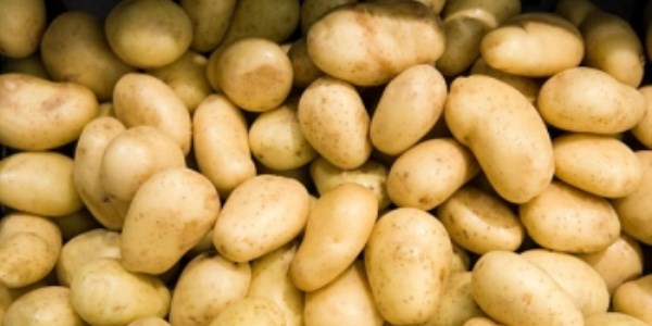 Patates depodan çıktı, fiyatı düştü