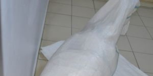 Konya'da 204 kilo 855 gram esrar ele geçirildi