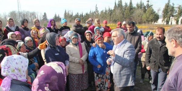 15 yılda 60 bin fidan dikildi
