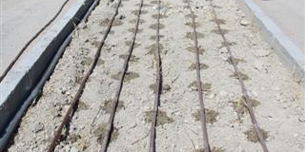 Park ve bahçelerde 'damla sulama' dönemi başlıyor