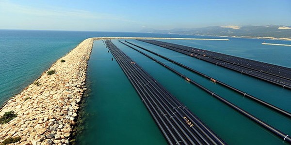 Dünyada 'ilk' olacak projede büyük adım
