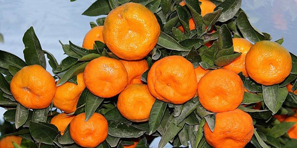 İşte Şubat ayının zam şampiyonları